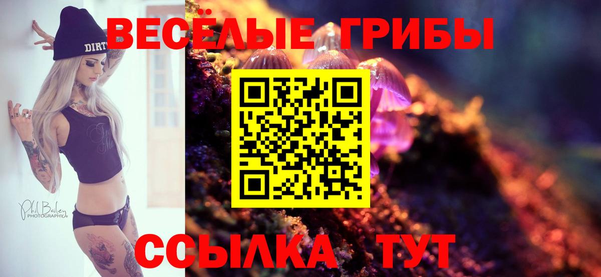 Галлюциногенные грибы Magic Shrooms Морозовск